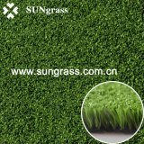 10mm High Density Sports Synthetic Grass for Cricket/Sport (GMD-10)