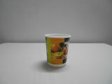 Double Walled Cold Beverage Paper Cup Customized Pattern
