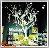 Customized Artificial Dry Tree Branches for Shop Decoration (WT9)