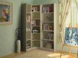 Chinese Furniture Bookcase at Home (B-09)