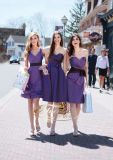 Fashion 3styles Short Satin Teffeta Bridesmaid Dress (XL40)