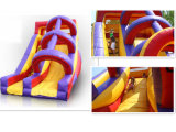 Inflatable Water Slide (CWJ-3017D)