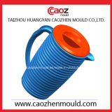 Hot Selling/High Technical Plastic Injection Jug Mould