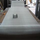 Stainless Steel Wire Mesh (CTM-14)