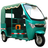 All New High Performance Electric Tricycle for Passenger (DCQ300K-03)