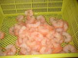 Seafood Fish IQF Red Shrimp Pud - Solenocera Melantho