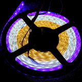 5050 RGB LED Strip Light with Waterproof (5m 300SMD)