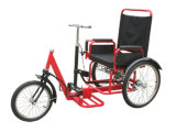 Push-Pull Chain-Free Tricycle