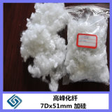 Recycled Polyester Staple Fiber Hollow Conjugated Silicon 3D, 7D, 15D