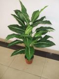 Artificial Plants and Flowers of Dieffenbachia 26lvs Gu-Bj-735D-26-4-1#