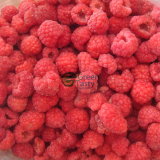 Hot Sell High Quality IQF Frozen Whole Raspberries