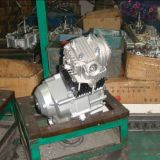 Motorcycle Engine Cg150 Automatic for Tricycle/ATV with EEC/EPA (162FMJ)