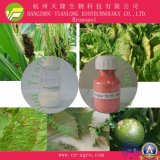 Good Quality Fungicide Bronopol (99%TC, 10%WP)