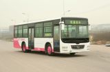 7.5m 36 Seats City Bus