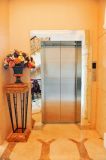 China Sicher Customized Elevator for Home Elevator