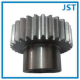 Supply Steel Straight Tooth Gear