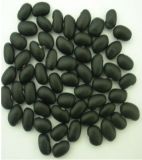 Small Black Beans (014)