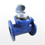Woltman Water Meters (LXLG-100E1b)