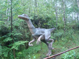 Outdoor Playground Equipment-Aritifcial Dinosaur 63