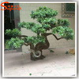 Hot Sale Evergreen Artificial Plant for Indoor Decoration