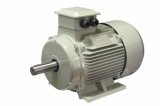 Y2 Series AC Electric Motor Cast Iron 2p 4kw