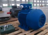 Y2 Series AC Electric Motor Cast Iron 2p 90kw