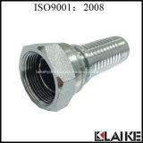 Bsp Female Hose Fitting with Inverted Flare 60 Degree (22612)