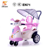 Children Ride on Toy with Push and Sunshade