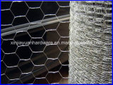 High Quality Chicken Wire, Hexagonal Wire Netting