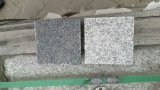 Cube Stone G603 &G654 in Stock Diced Stone