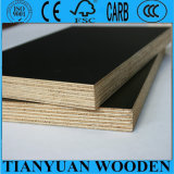 15*1220*2440mm Construcrion Plywood, Concerete Formwork Plywood
