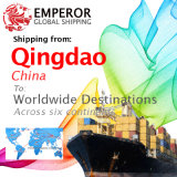 Sea Freight Shipping From Qingdao to Worldwide Destinations