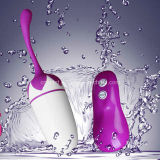 Sex Toy Vibrator Iped Egg 5