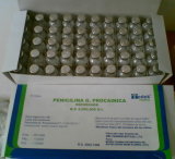 Procaine Penicillin for Injection
