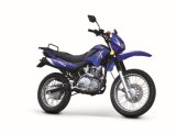 Motorcycle (BRG200GY-5)