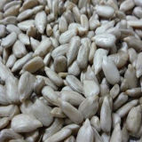 Chinese Sunflower Kernel with High Quality