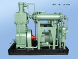 Oil Free (ZW-1/0.1-10) Biogas Compressor