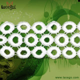 Solubility Lace (S09680)