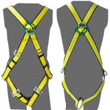 Safety Belt & Safety Harness (50325)