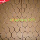 Hexagonal Wire Netting (ISO 9001)