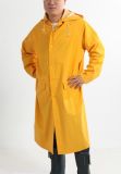 2015 Fashion PVC Raincoat (DPA030)