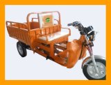 China Leading Manufacturer of Renewable Energy Saving Motor Tricycle
