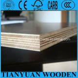 18mm Water Resistance Plywood/Shuttering Formwork Plywood