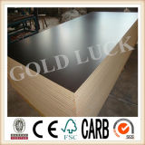 Concrete Material, Film Faced Plywood, Construction Plywood