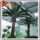 Hot Sale Indoor Decorative Artificial Date Palm Tree