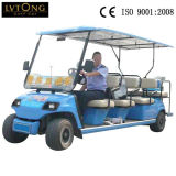 Best 11 Person Batter Sightseeing Car