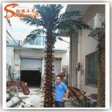 Artificial Washington Palm Tree Made of Fiberglass