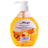 Antiseptic Handwash Liquid Soap 500ml