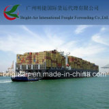 Efficient Freight Forwarder From China to Pecem, Brazil