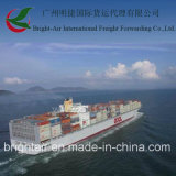 Freight Broker From China to Paranagua Brazil